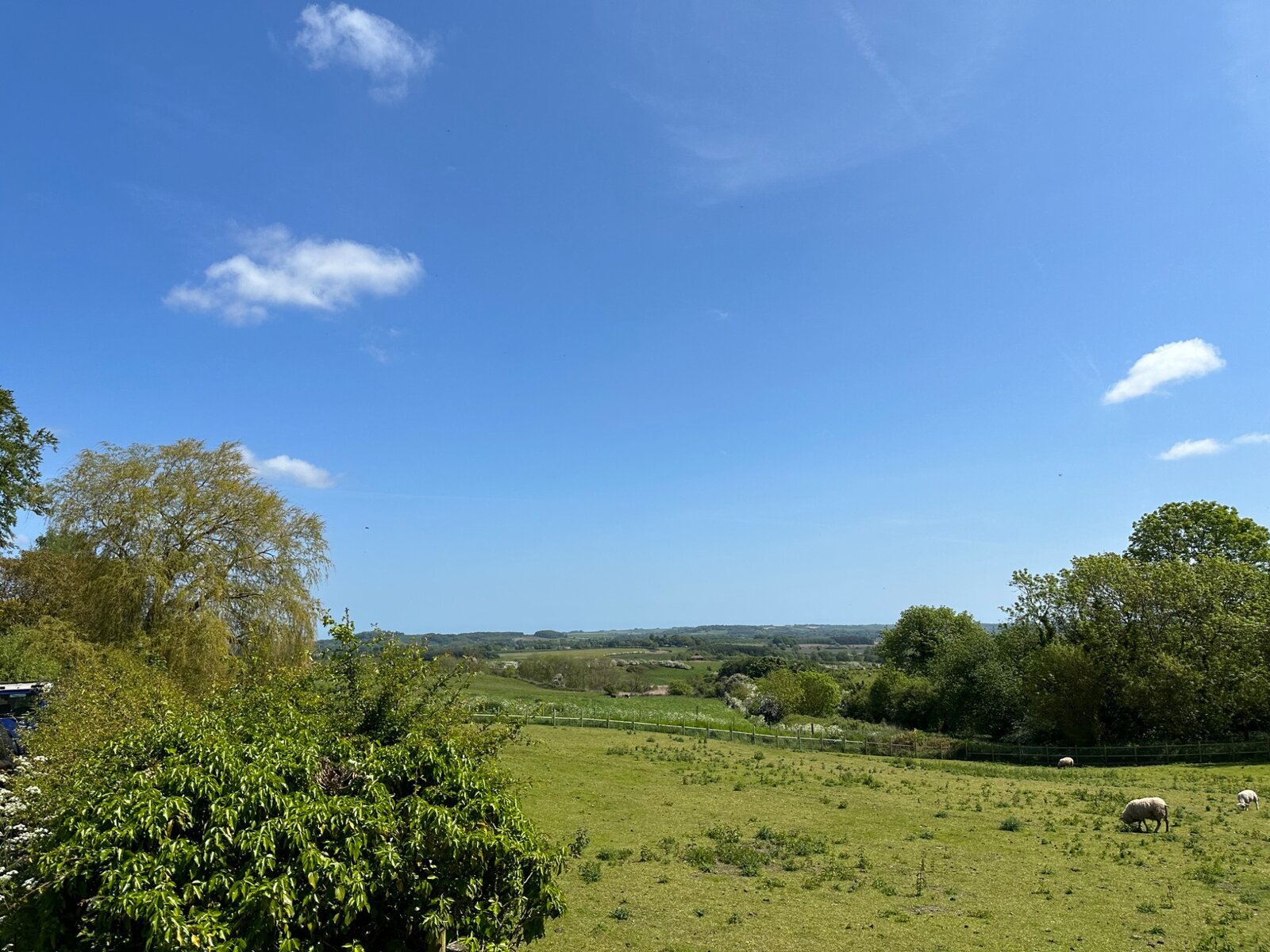 Open green views across the Lincolnshire countryside